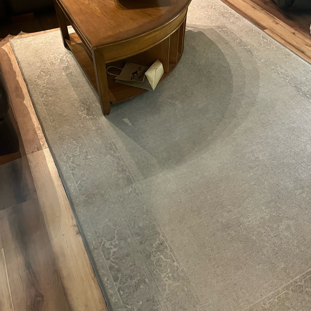 Elegant Gray Area Rug